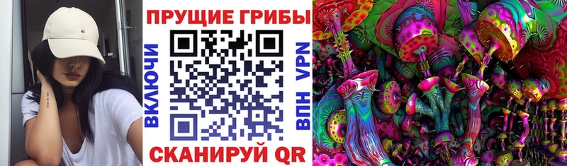 как найти Аксай Галлюциногенные грибы мицелий